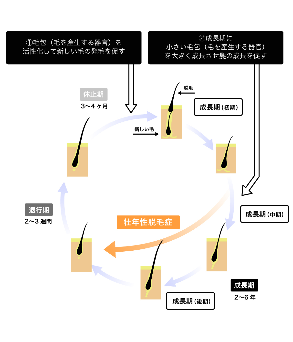 対策 H9＆C3