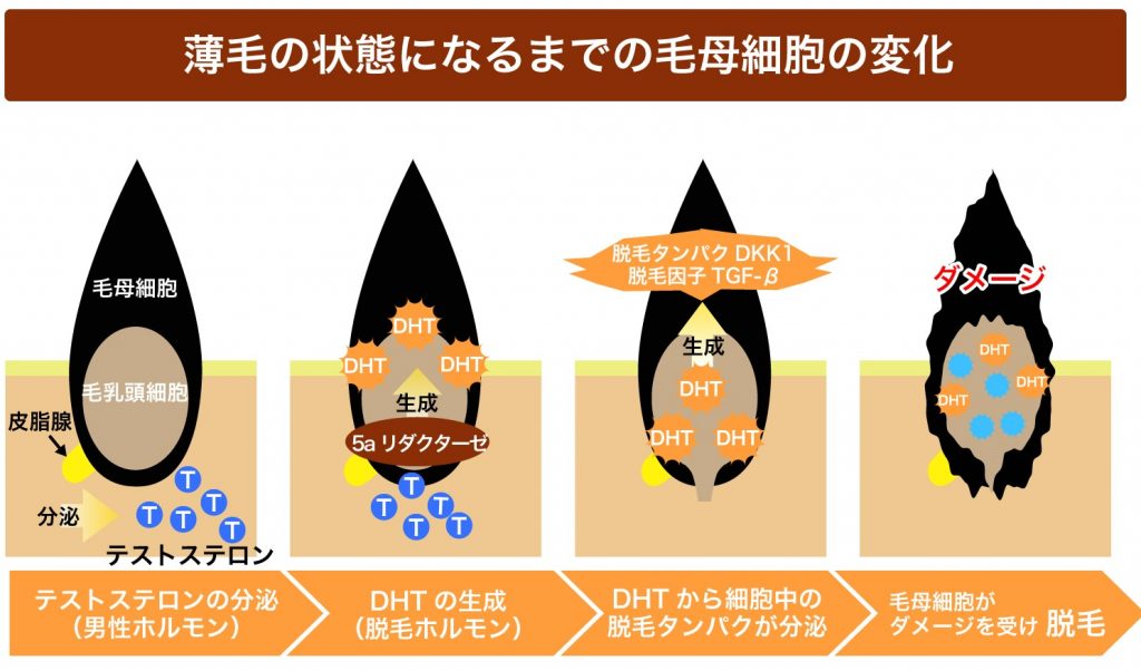 解説 S2 修正