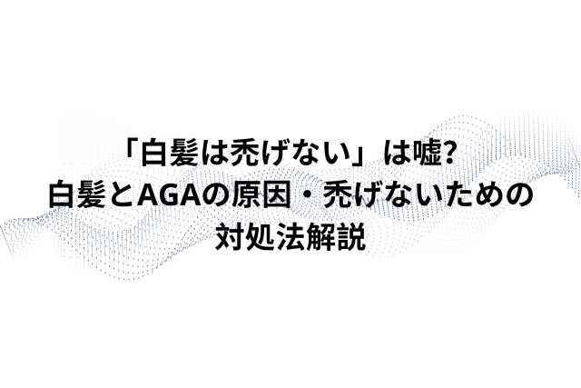 【毛髪診断士監修】「白髪は禿げない」は嘘？白髪とAGAの原因・禿げないための対処法解説