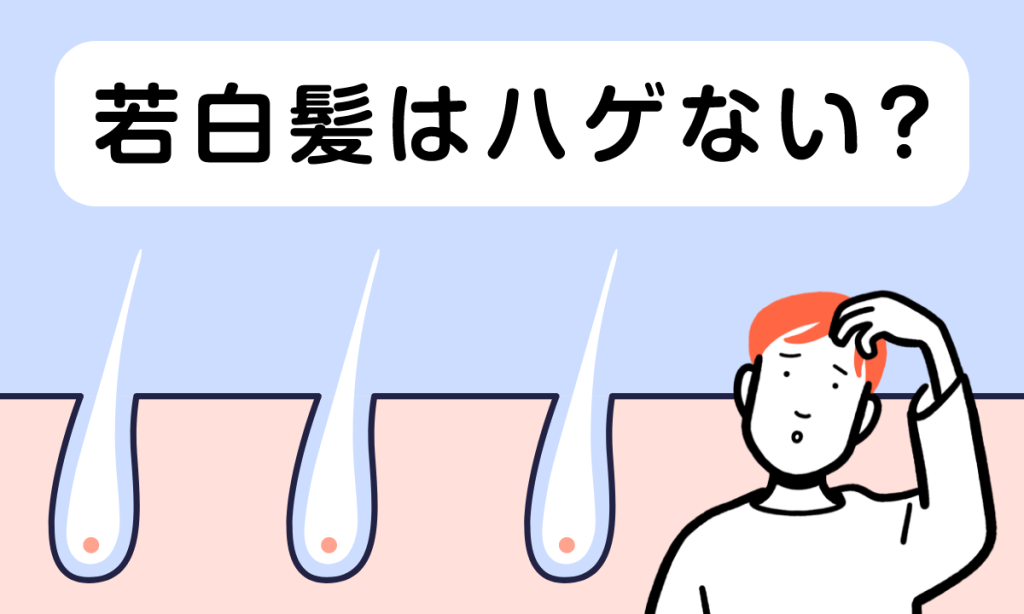 【薬剤師監修】若白髪の人はハゲない？白髪と薄毛の原因や対処法を解説します