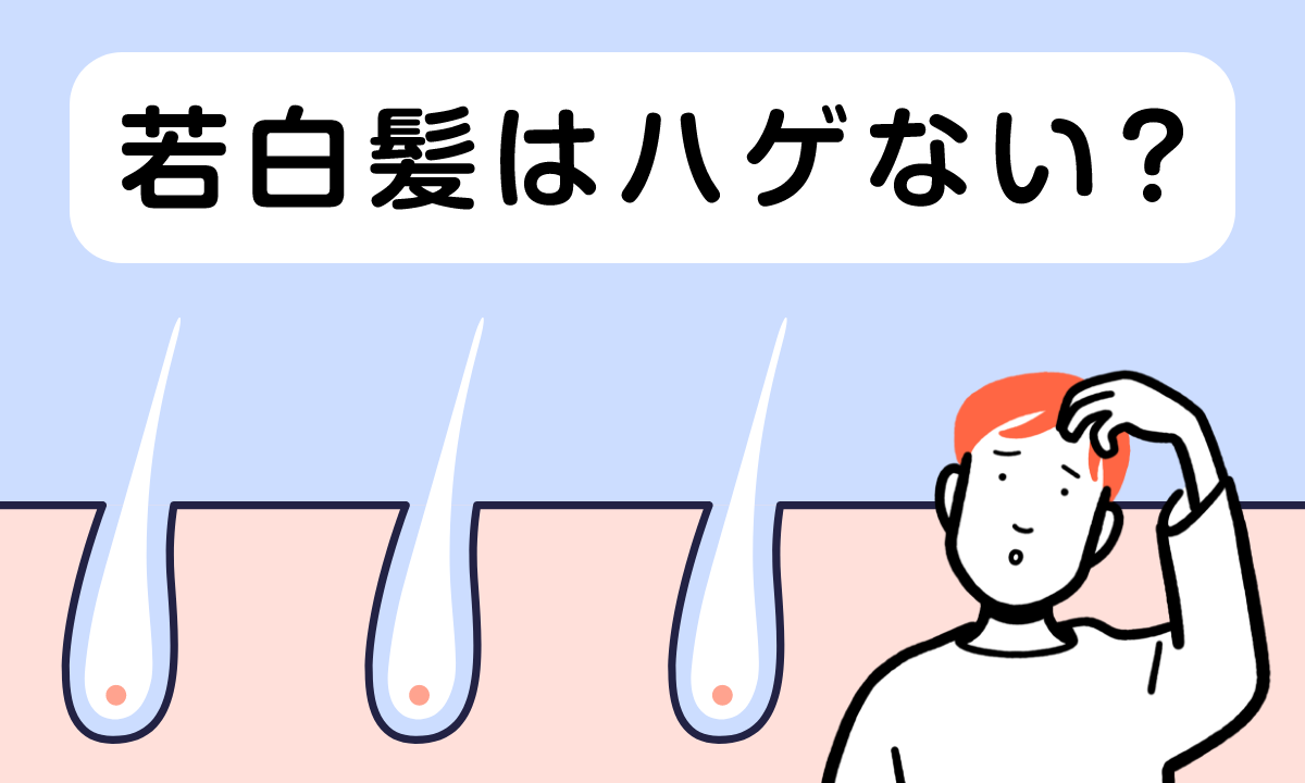 若白髪の人はハゲない？白髪と薄毛の原因や対処法を解説します