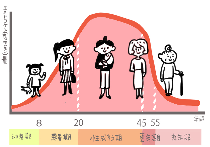 年齢とエストロゲンの減少