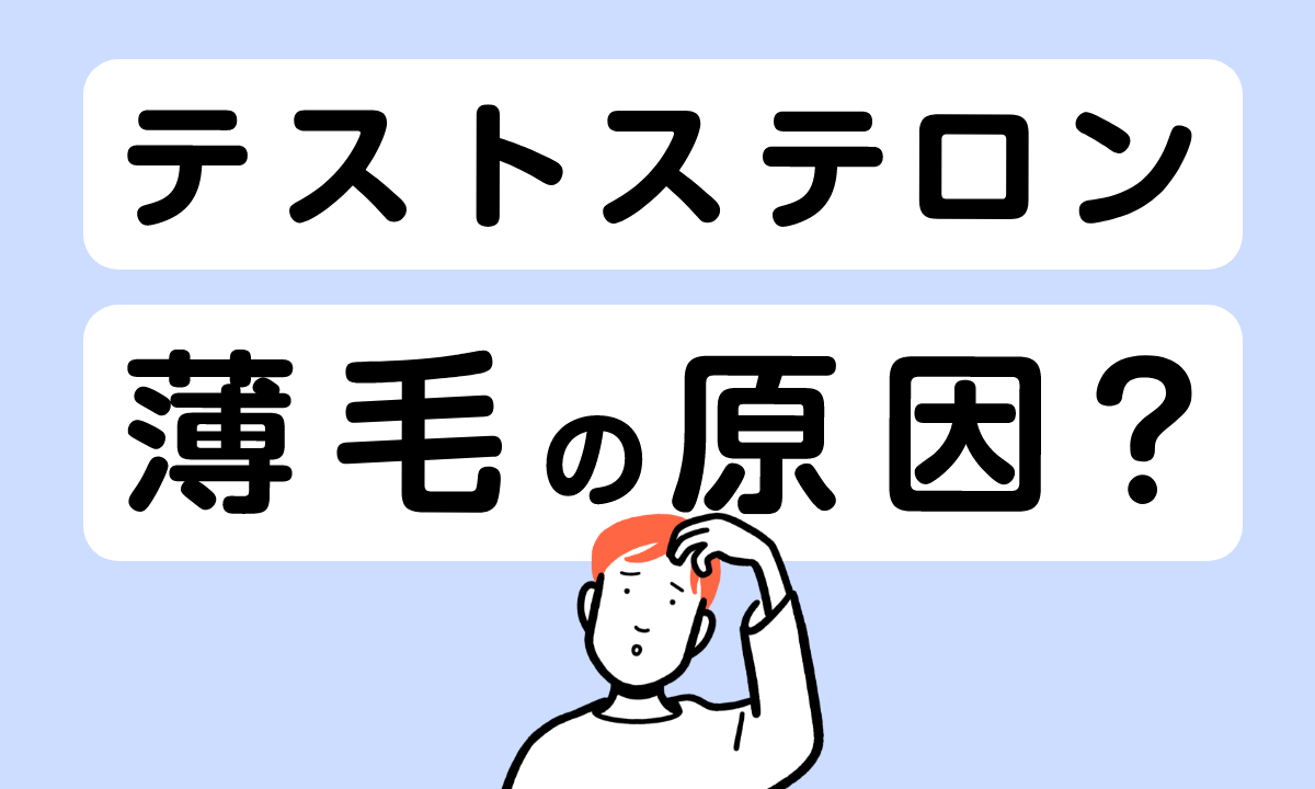 テストステロンが多いことが薄毛になる？男性ホルモンとAGAの関係とは