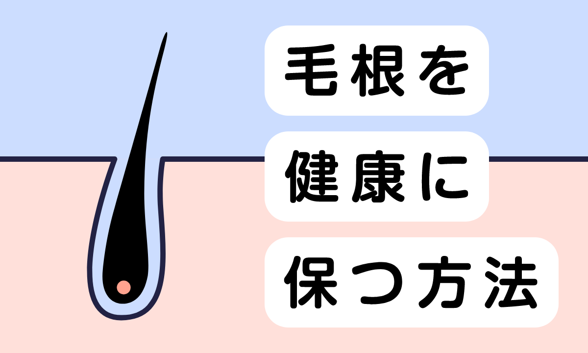 健康な毛根の種類と特徴を紹介｜不健康な毛根の髪の毛を改善するには？