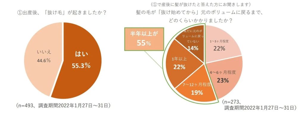 産後の抜け毛アンケート結果