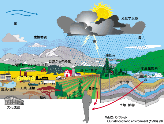 酸性雨とは