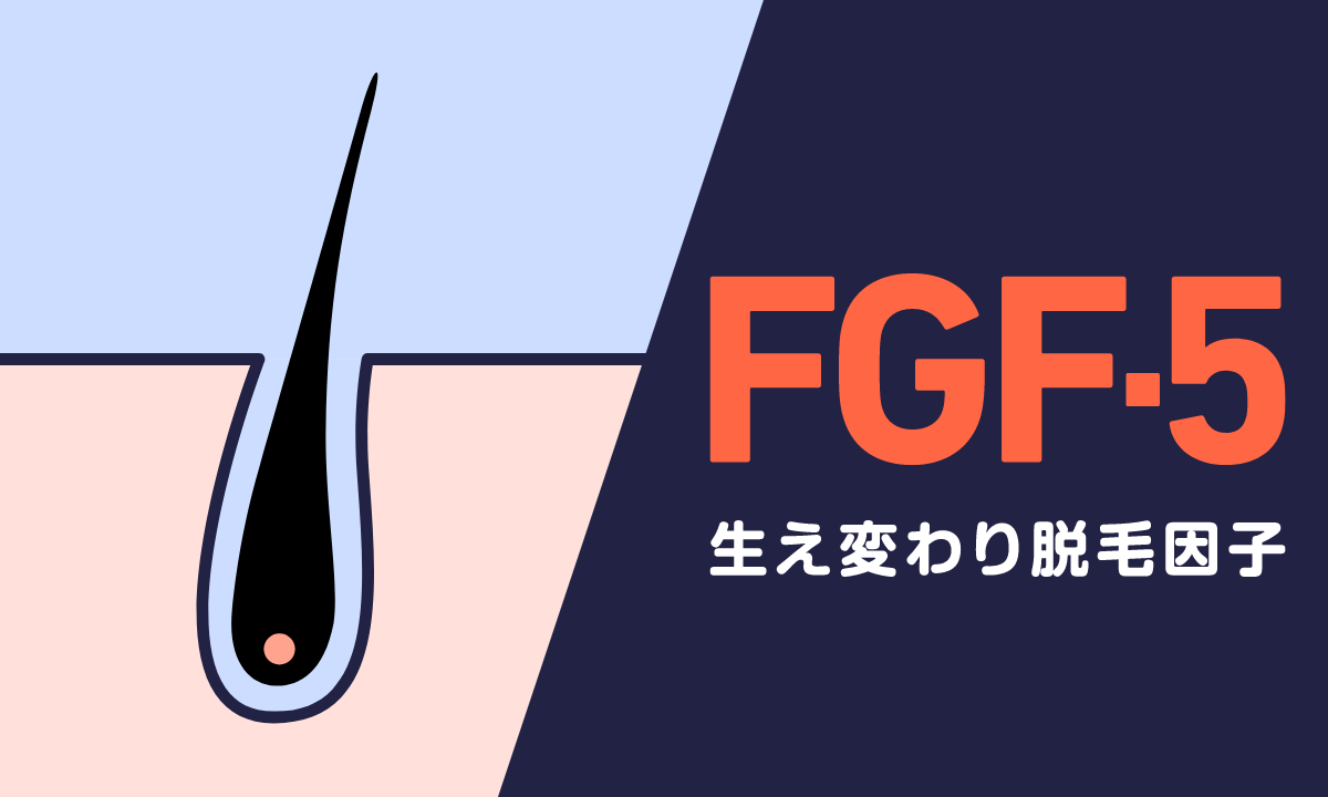 【薬剤師監修】脱毛因子FGF-5とは？毛周期が退行期へ切り替わる！？