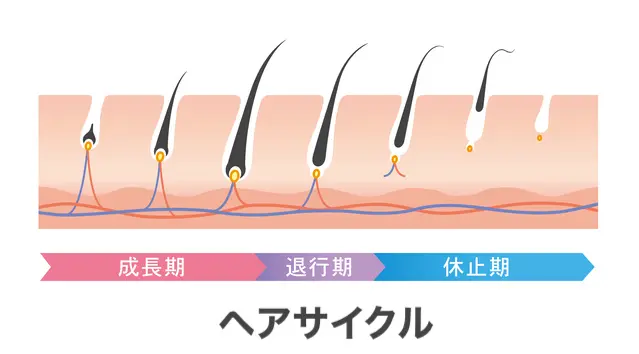 ヘアサイクル