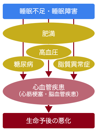 厚生労働省｜睡眠と生活習慣病との深い関係